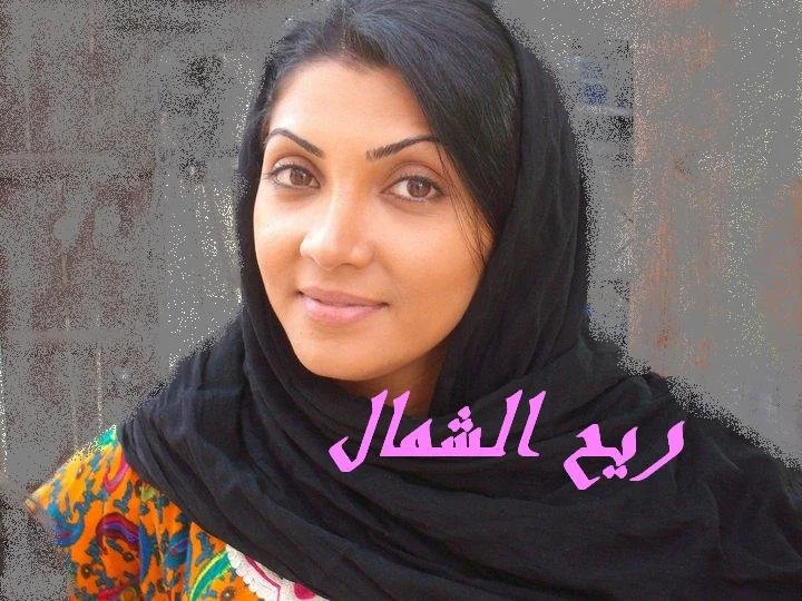 ريح الشمال ج3