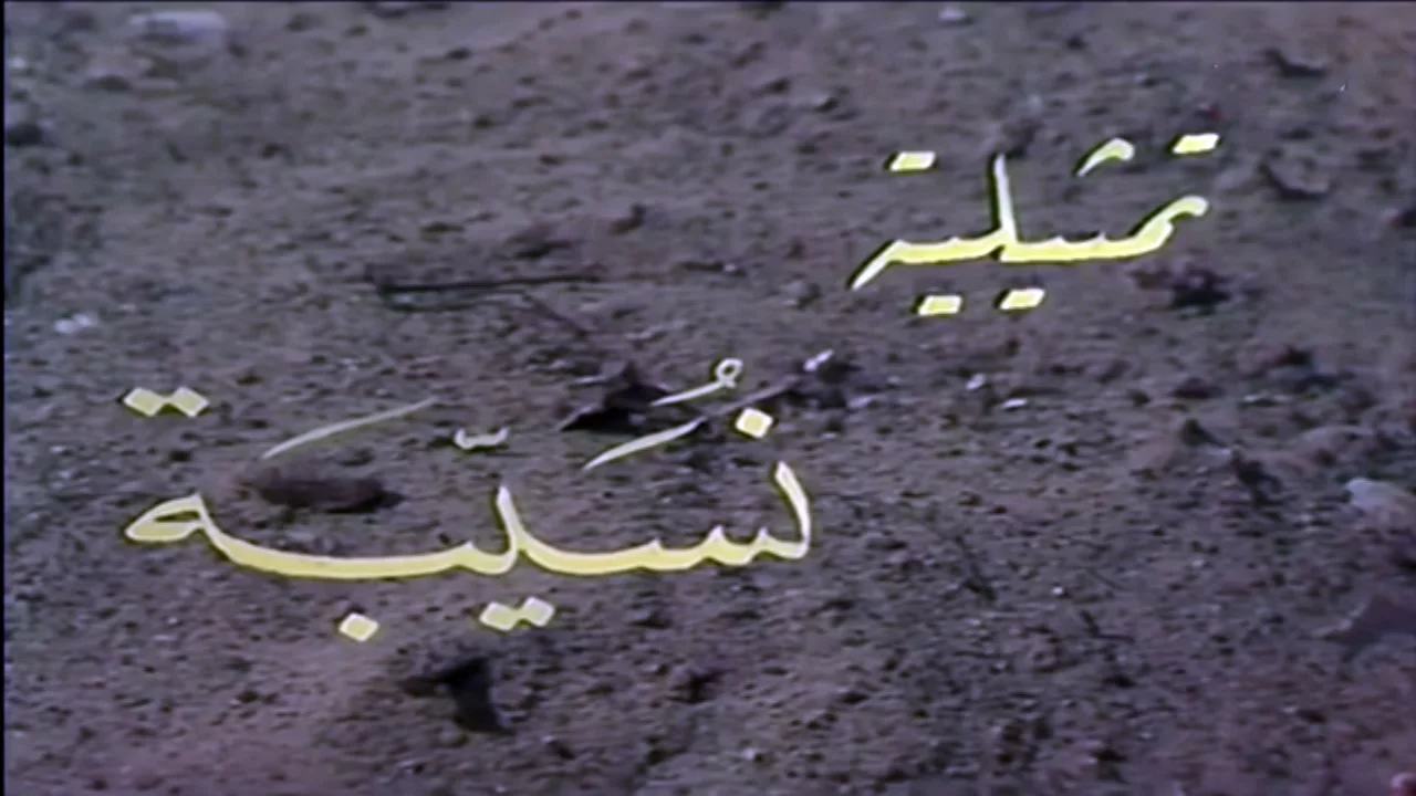 نسيبة بنت كعب